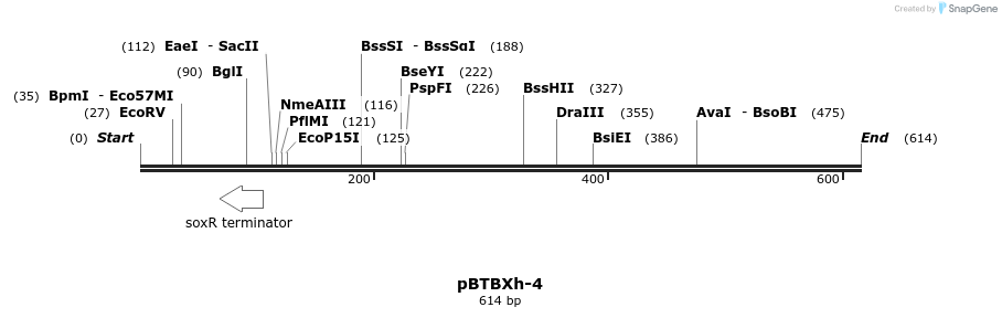 32162_map