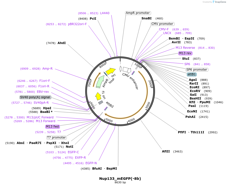 321635_map
