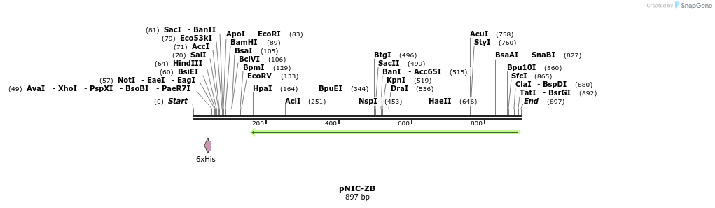 32165_map