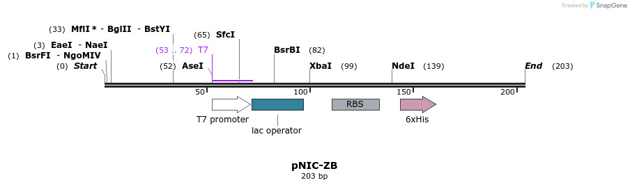 32166_map