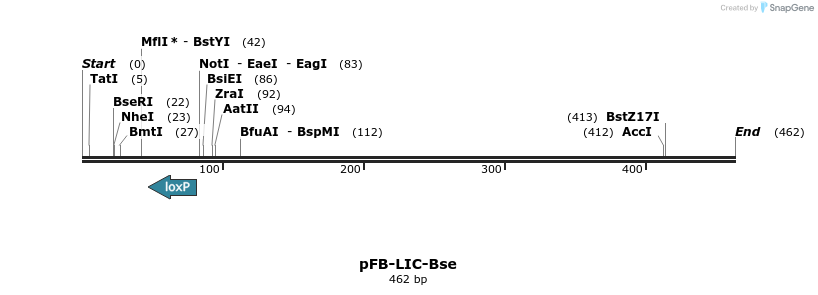32168_map