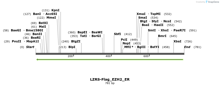 32172_map