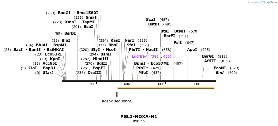 32174_map
