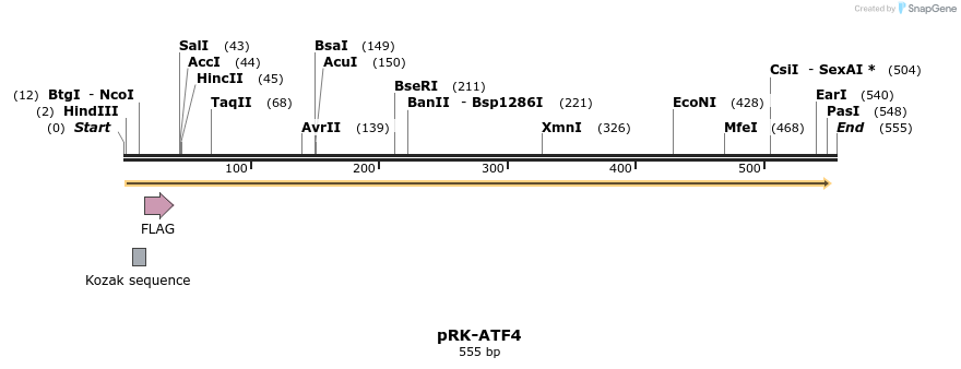 32176_map