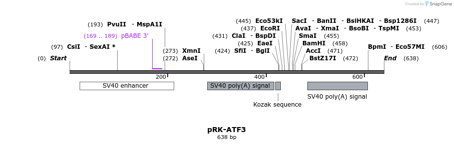 32181_map