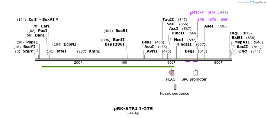 32185_map