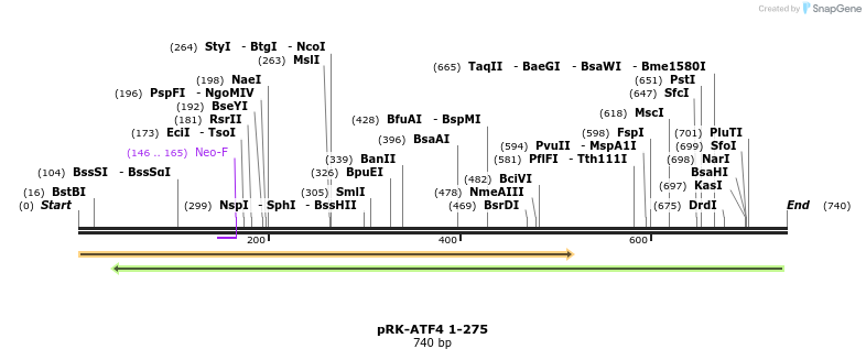 32187_map