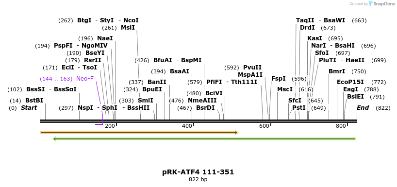 32191_map
