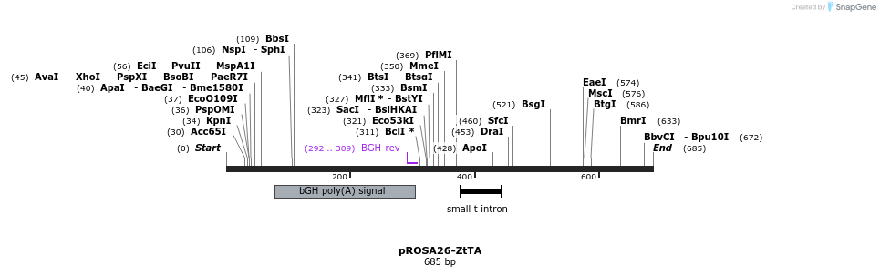 32196_map