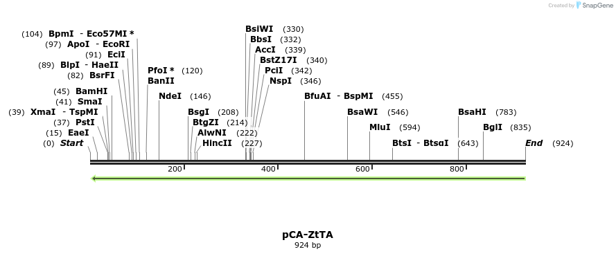 32198_map