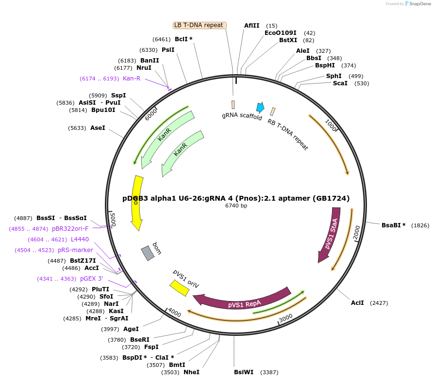 322006_map
