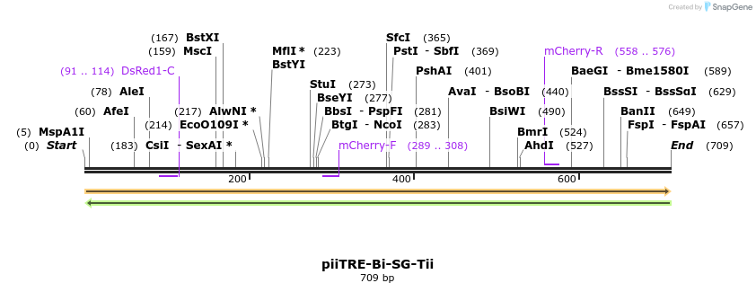 32203_map