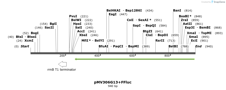 32209_map