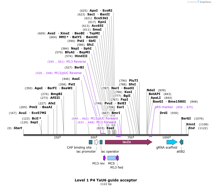 322110_map