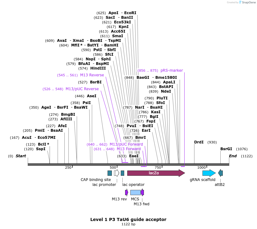 322114_map