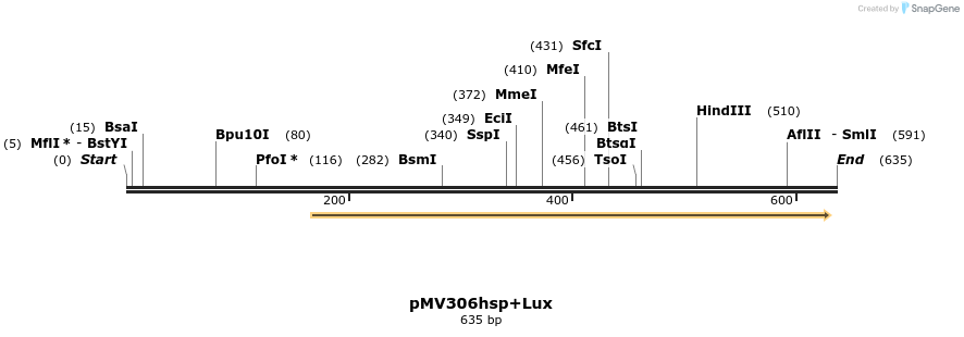 32213_map