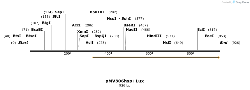 32214_map