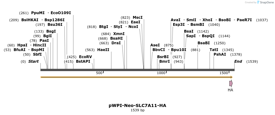 322146_map