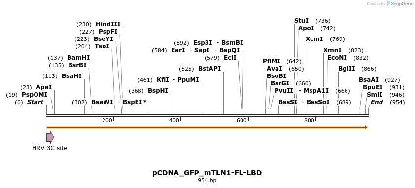 322157_map