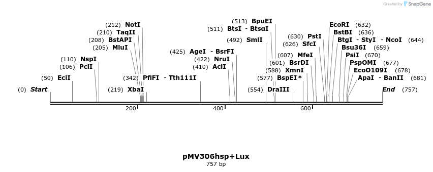 32216_map