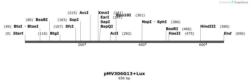 32217_map