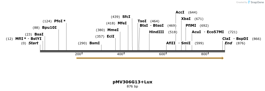 32219_map