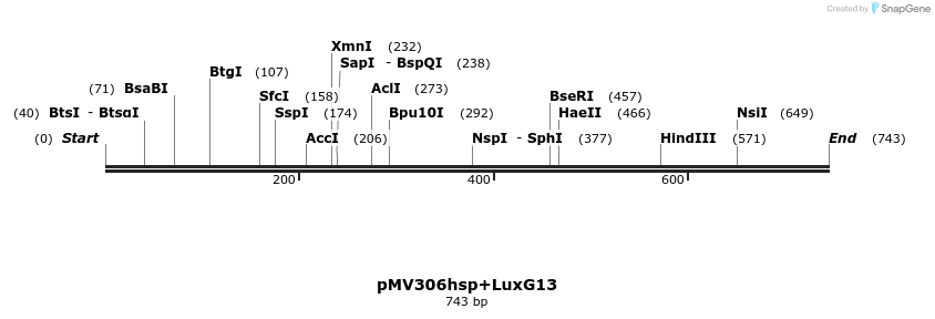 32221_map