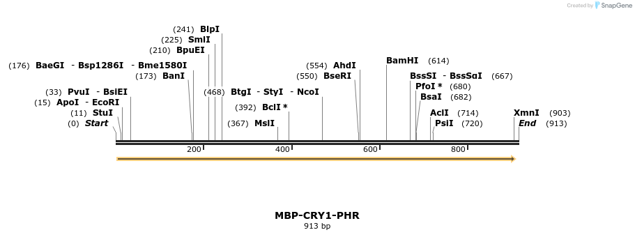 32224_map