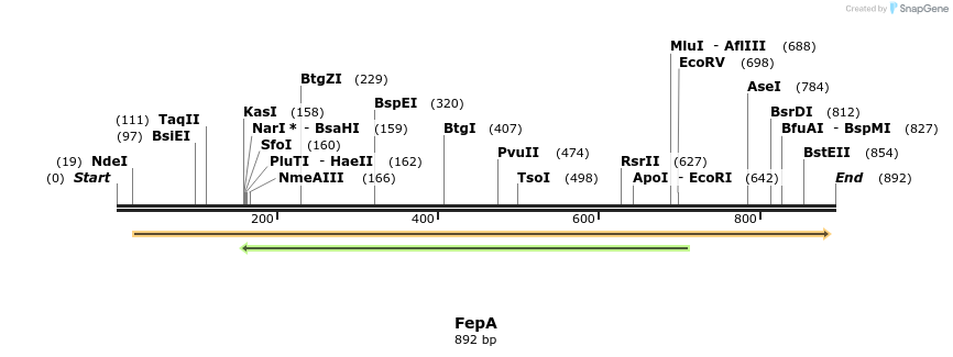 32225_map