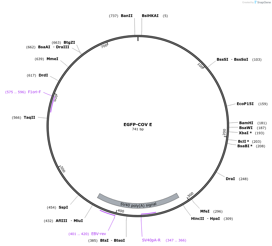 322258_map