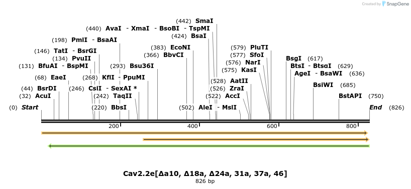 32228_map
