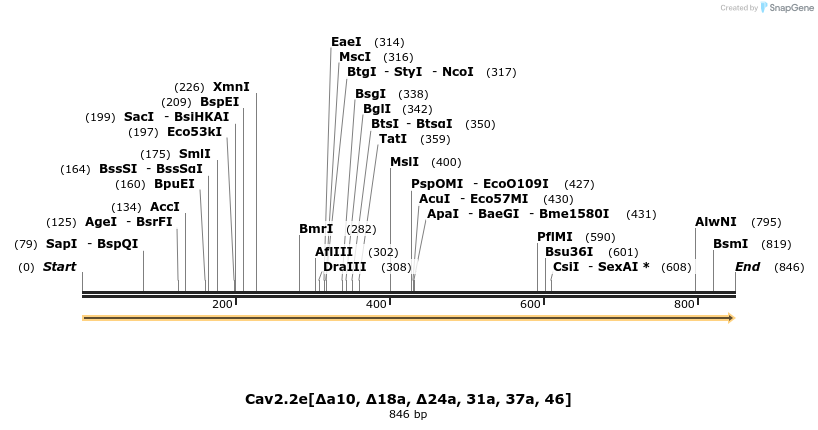 32229_map