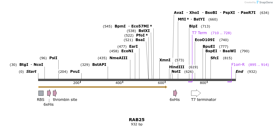 32231_map