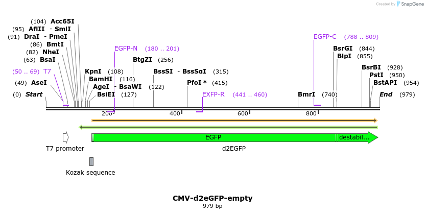 32232_map