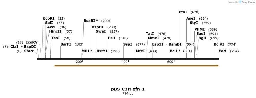 32241_map