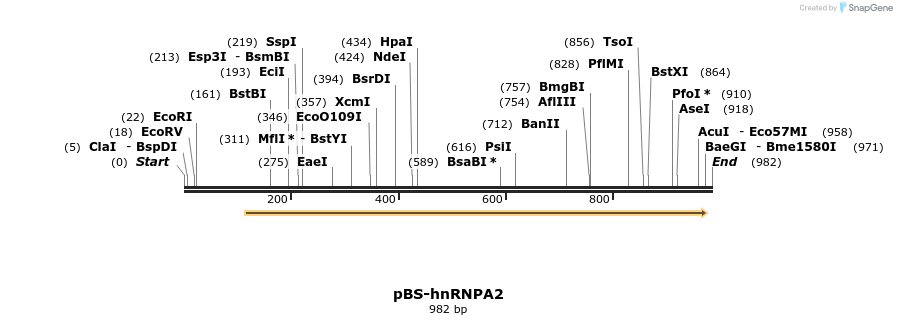 32242_map