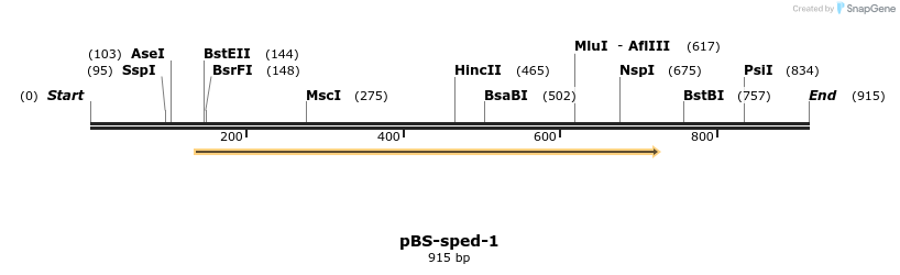 32246_map