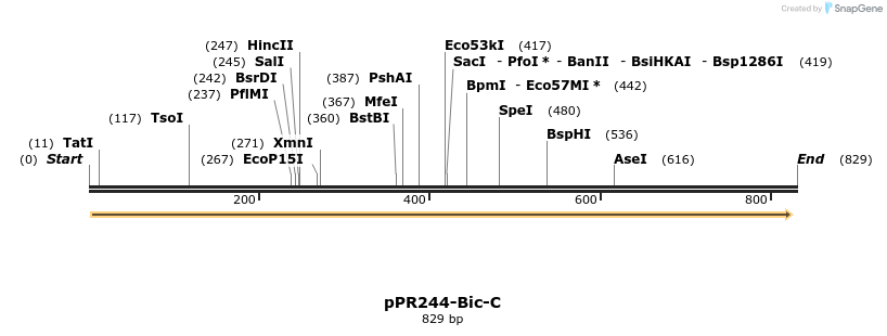 32247_map