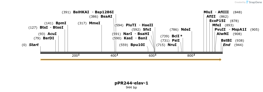 32251_map