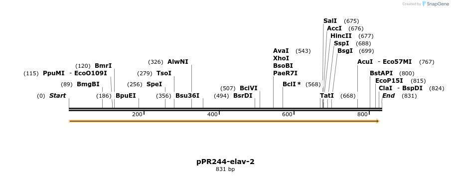 32252_map
