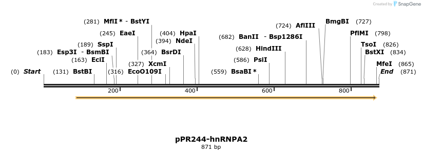 32253_map