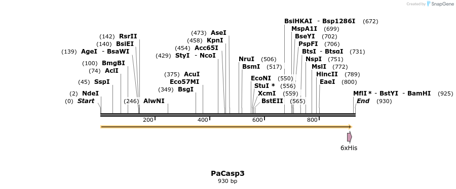 322533_map