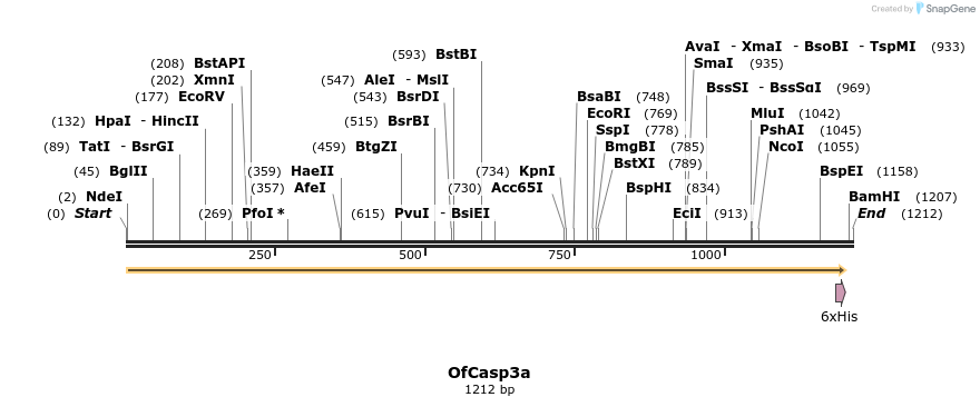 322537_map