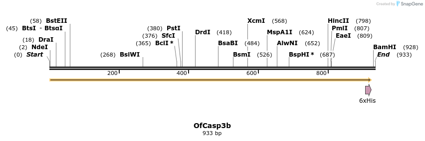 322539_map