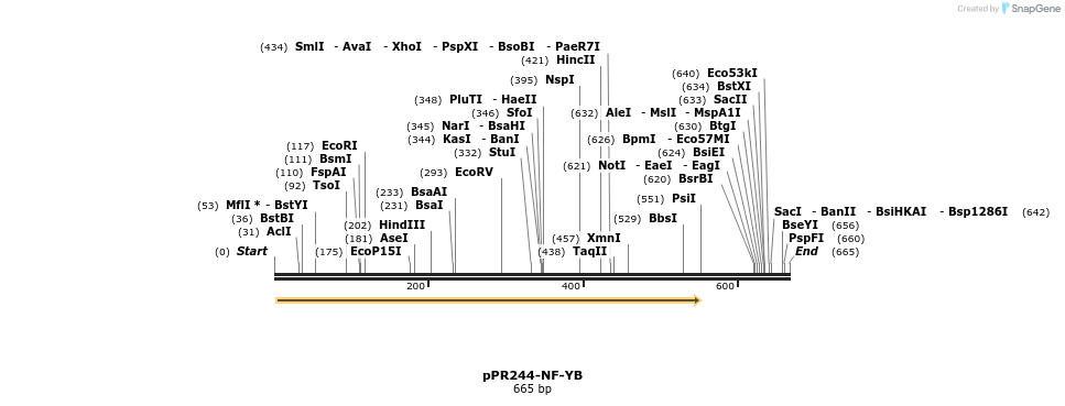 32255_map
