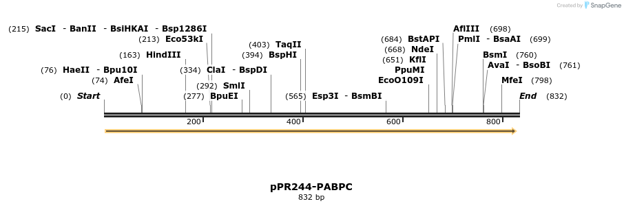 32256_map
