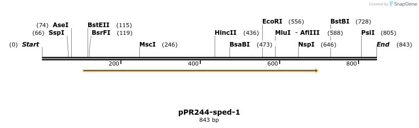 32259_map