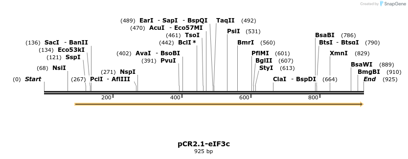 32261_map