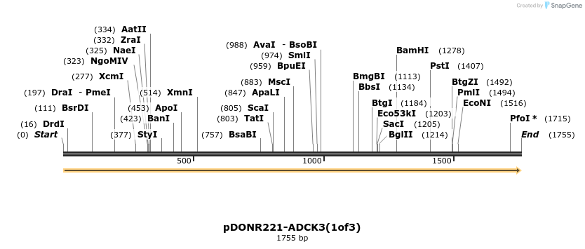 322702_map