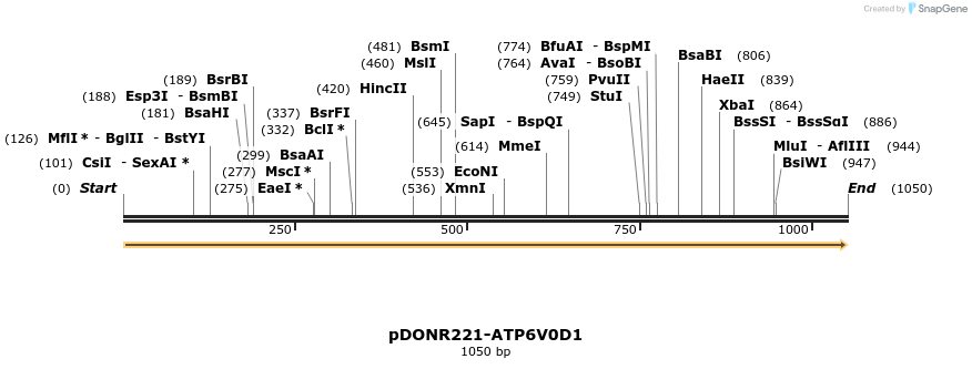 322703_map